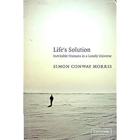 洋書 Plant Bioinformatics　カバー表紙破れ　英語 洋書 Plant Bioinformatics カバー表紙破れ 英語 洋書 Plant